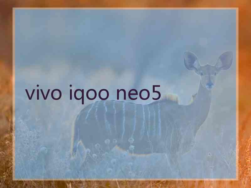 vivo iqoo neo5