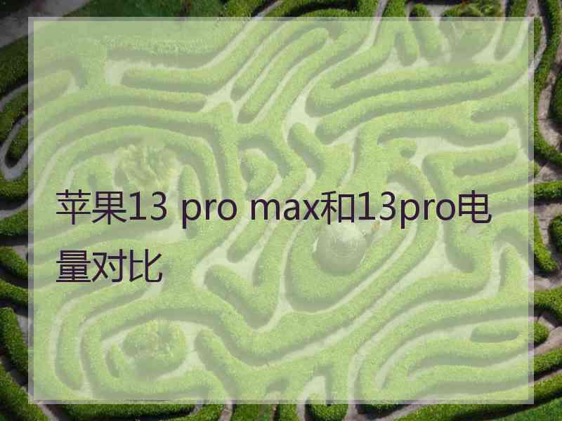 苹果13 pro max和13pro电量对比