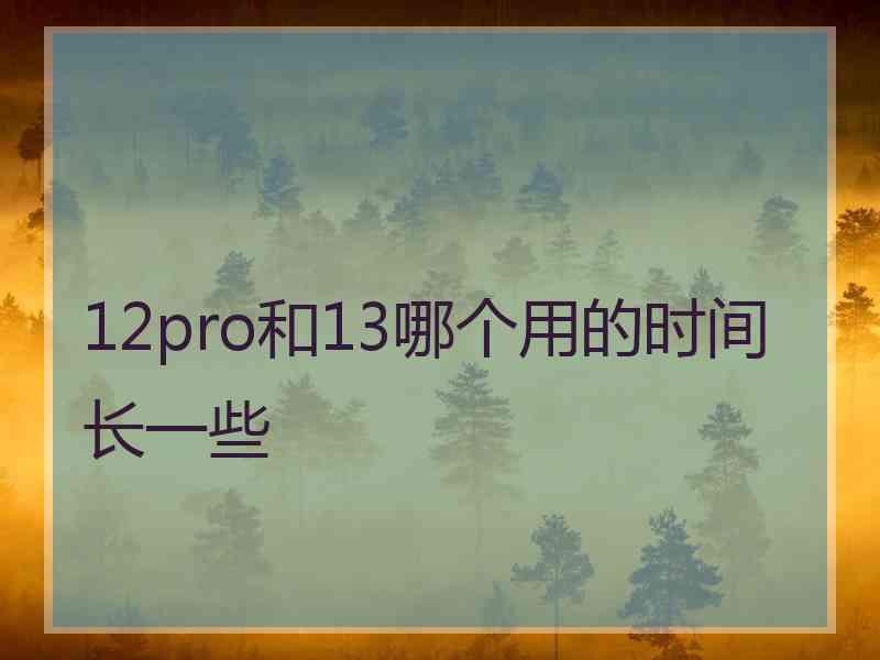 12pro和13哪个用的时间长一些