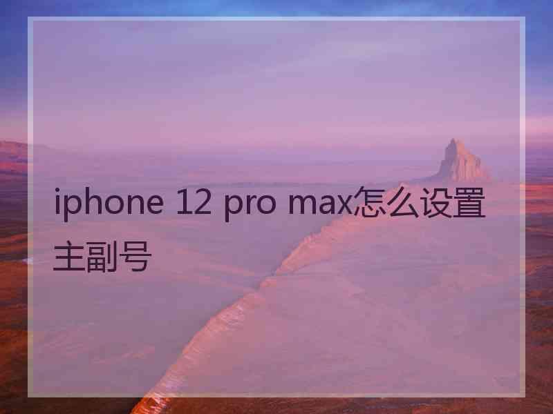 iphone 12 pro max怎么设置主副号