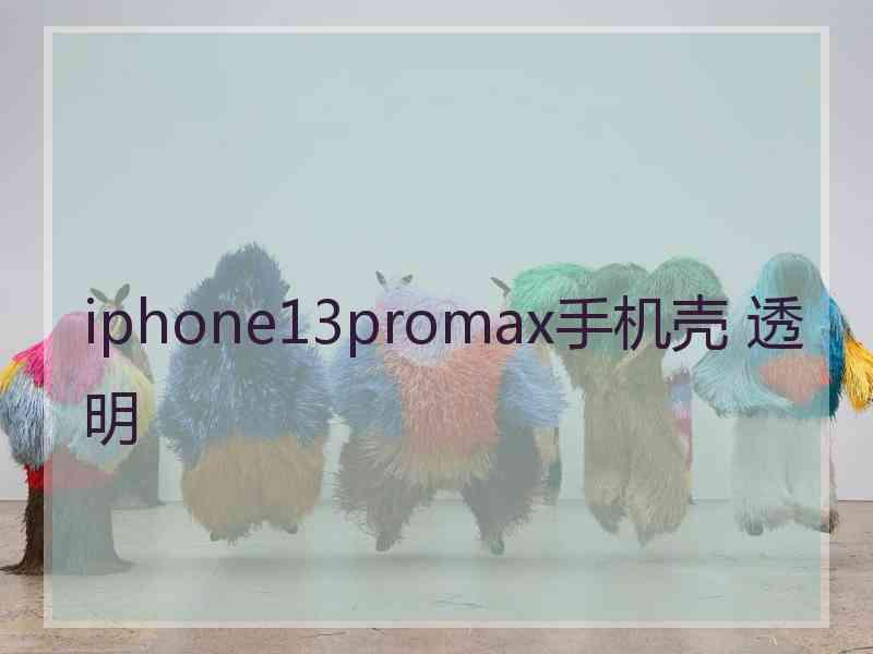 iphone13promax手机壳 透明