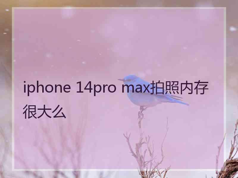 iphone 14pro max拍照内存很大么