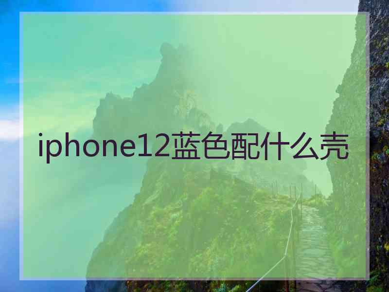 iphone12蓝色配什么壳