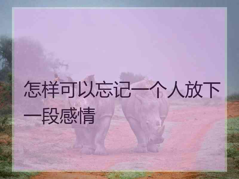 怎样可以忘记一个人放下一段感情