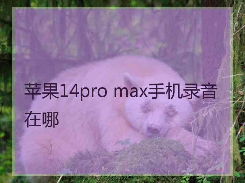 苹果14pro max手机录音在哪