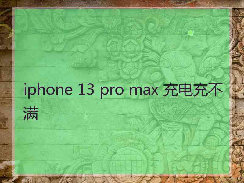 iphone 13 pro max 充电充不满