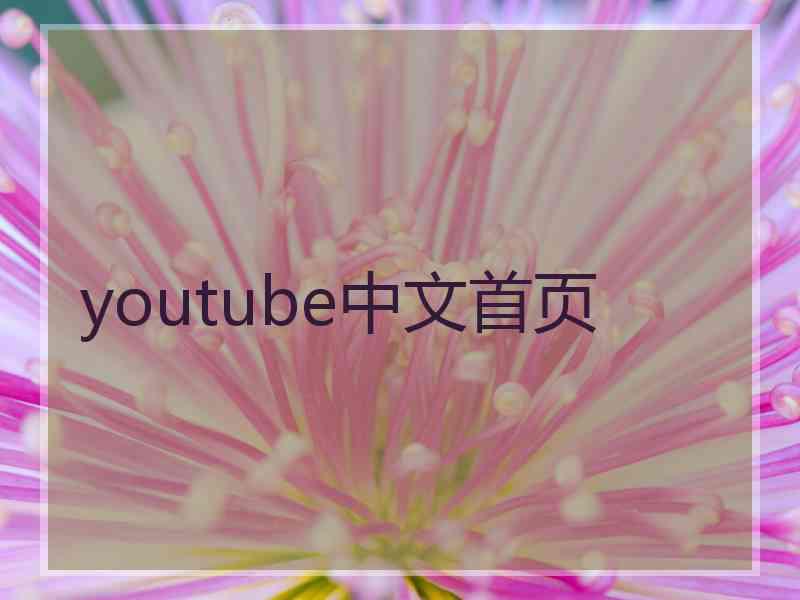 youtube中文首页