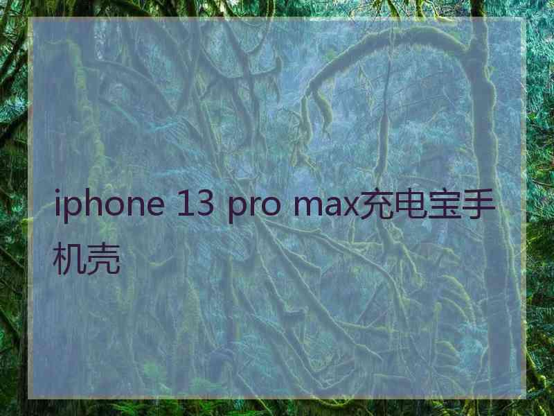 iphone 13 pro max充电宝手机壳