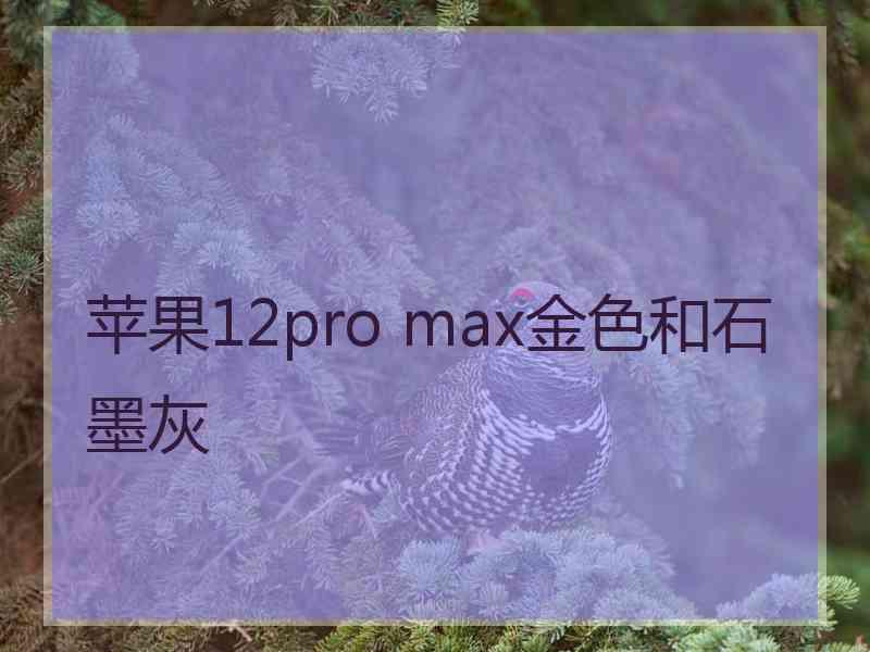 苹果12pro max金色和石墨灰