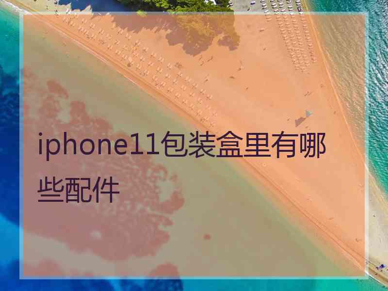 iphone11包装盒里有哪些配件