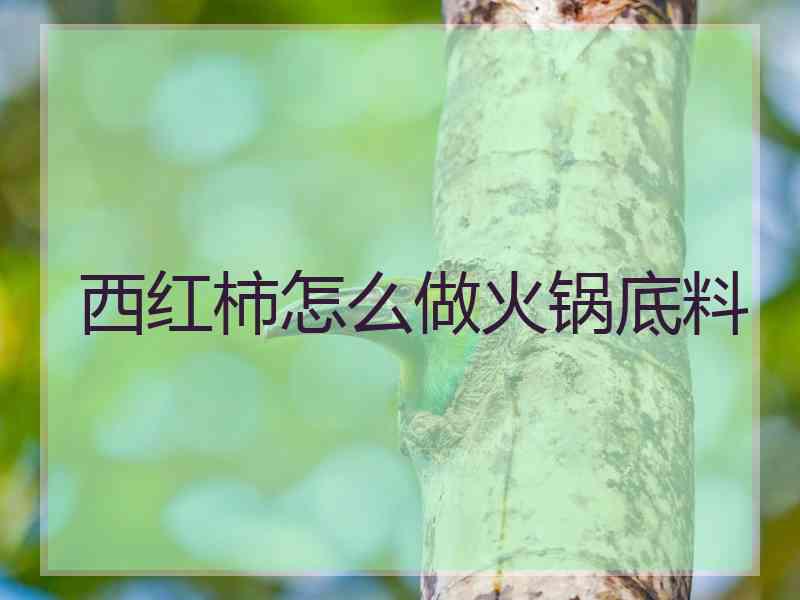 西红柿怎么做火锅底料