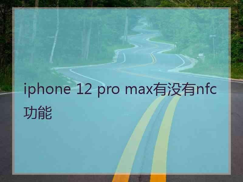 iphone 12 pro max有没有nfc功能