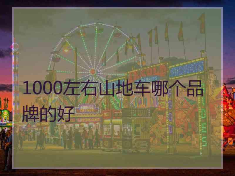 1000左右山地车哪个品牌的好