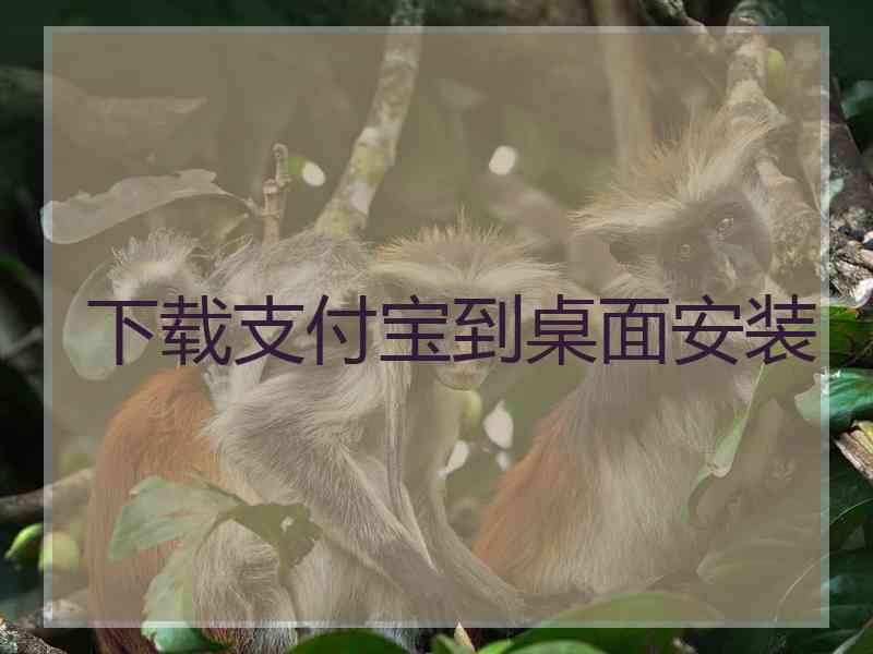 下载支付宝到桌面安装