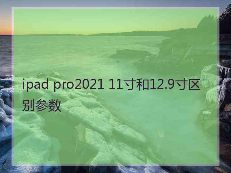 ipad pro2021 11寸和12.9寸区别参数