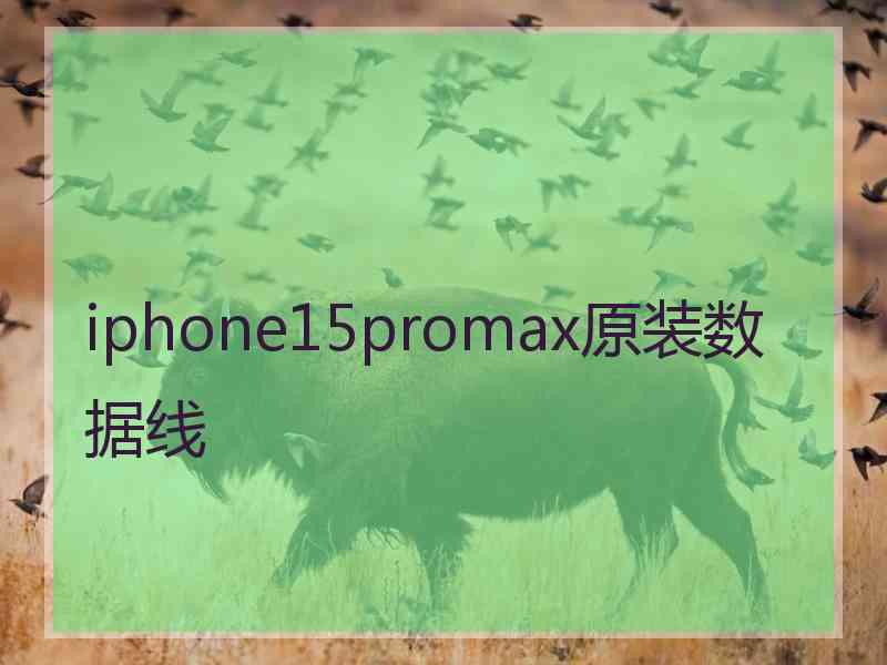 iphone15promax原装数据线