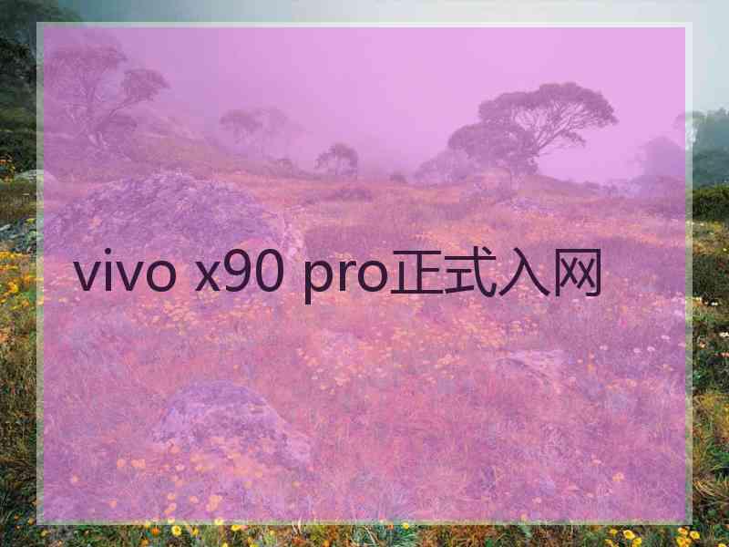 vivo x90 pro正式入网