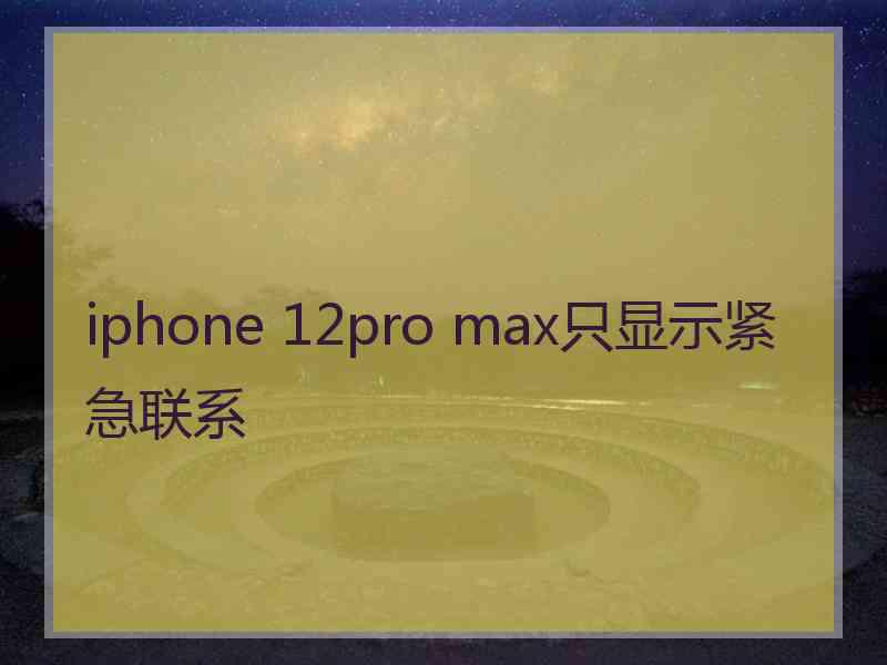 iphone 12pro max只显示紧急联系