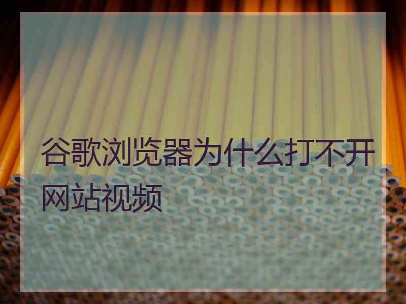 谷歌浏览器为什么打不开网站视频