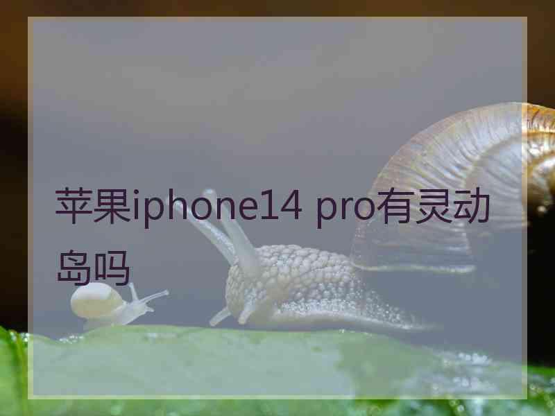 苹果iphone14 pro有灵动岛吗