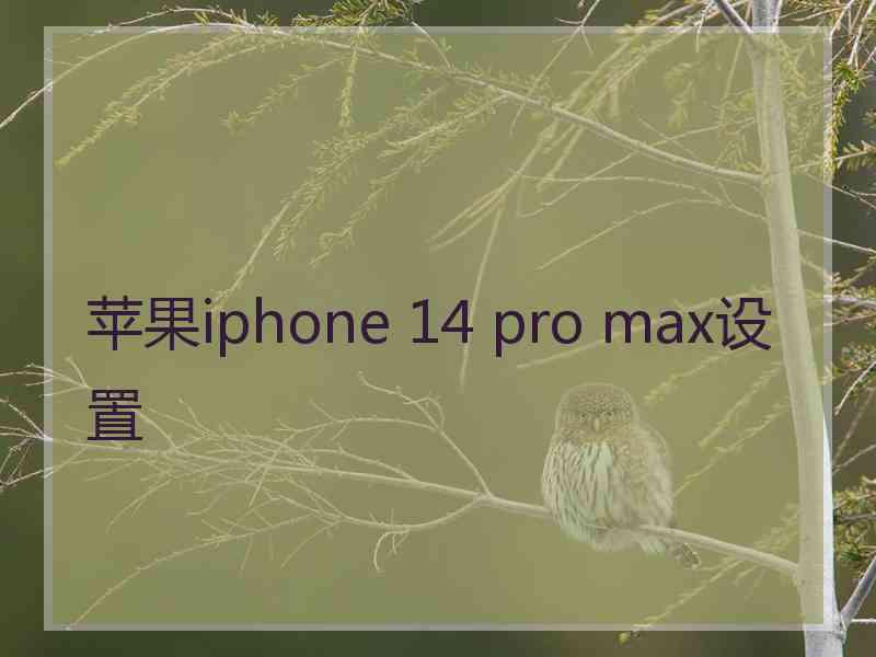 苹果iphone 14 pro max设置