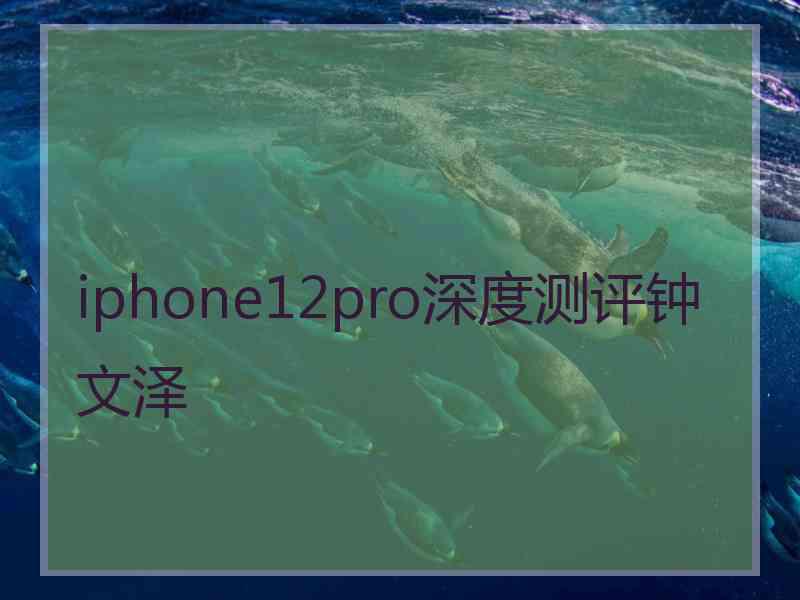 iphone12pro深度测评钟文泽