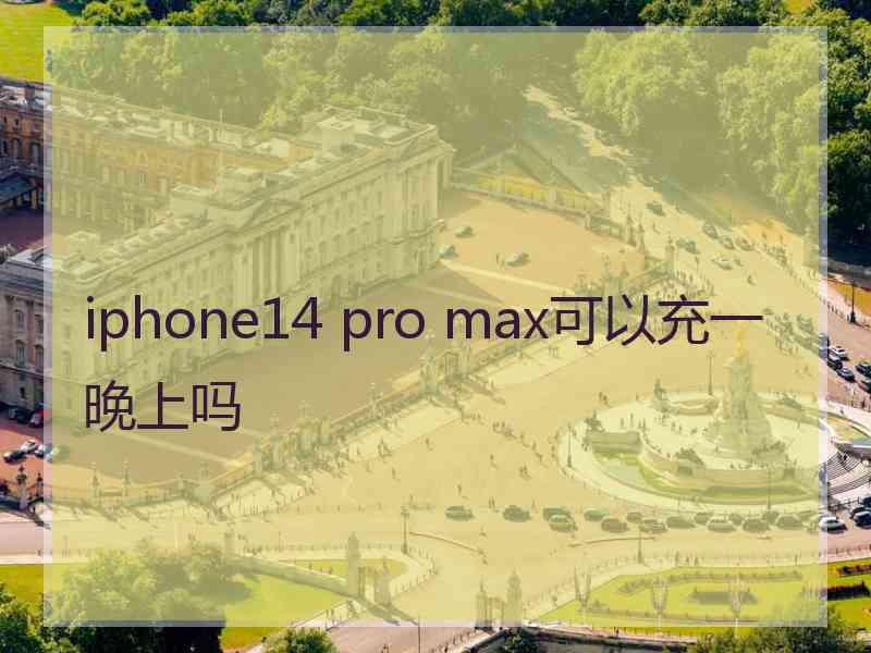 iphone14 pro max可以充一晚上吗