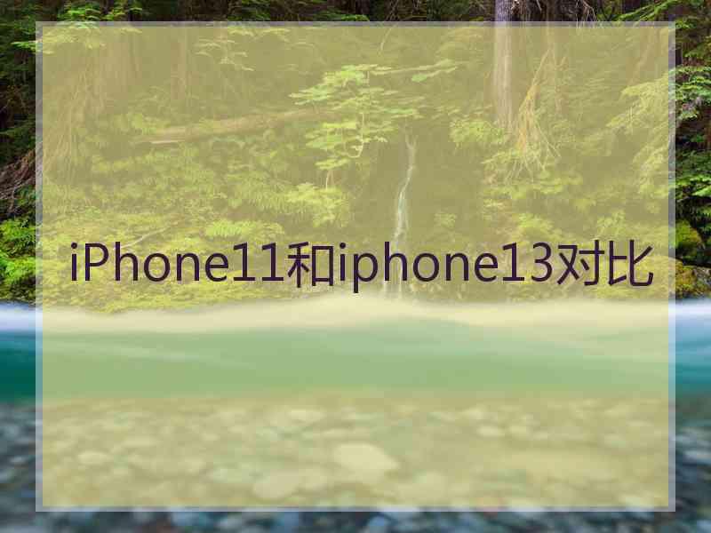 iPhone11和iphone13对比