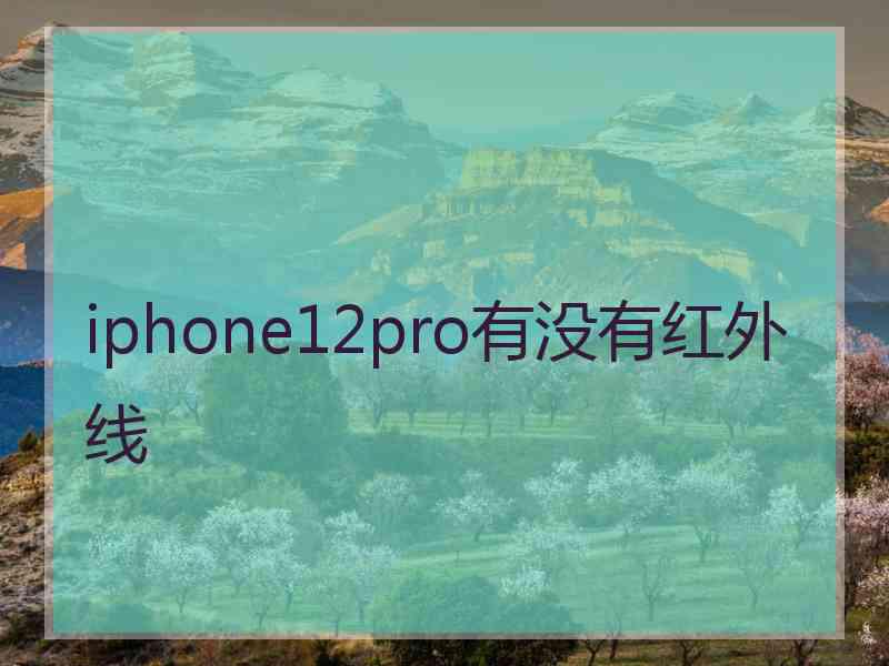 iphone12pro有没有红外线