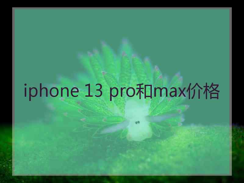 iphone 13 pro和max价格