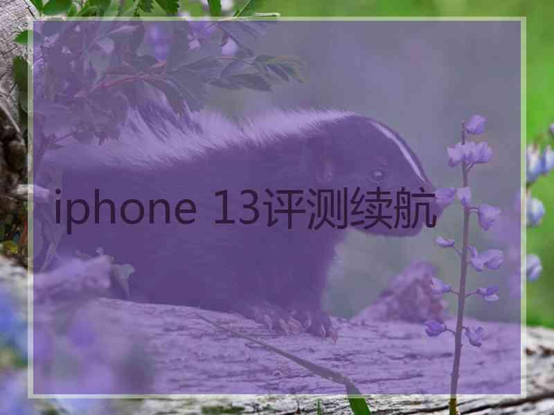 iphone 13评测续航