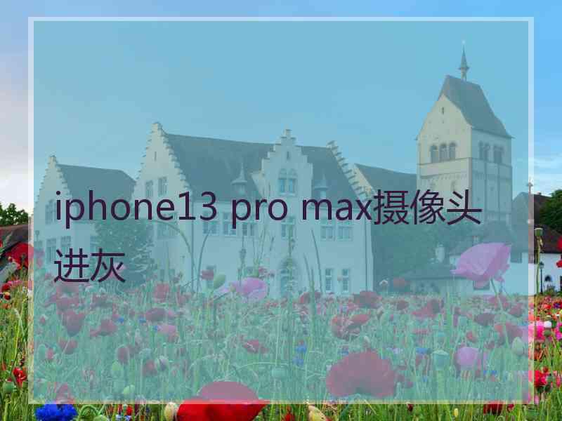 iphone13 pro max摄像头进灰