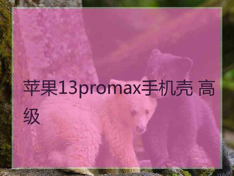 苹果13promax手机壳 高级