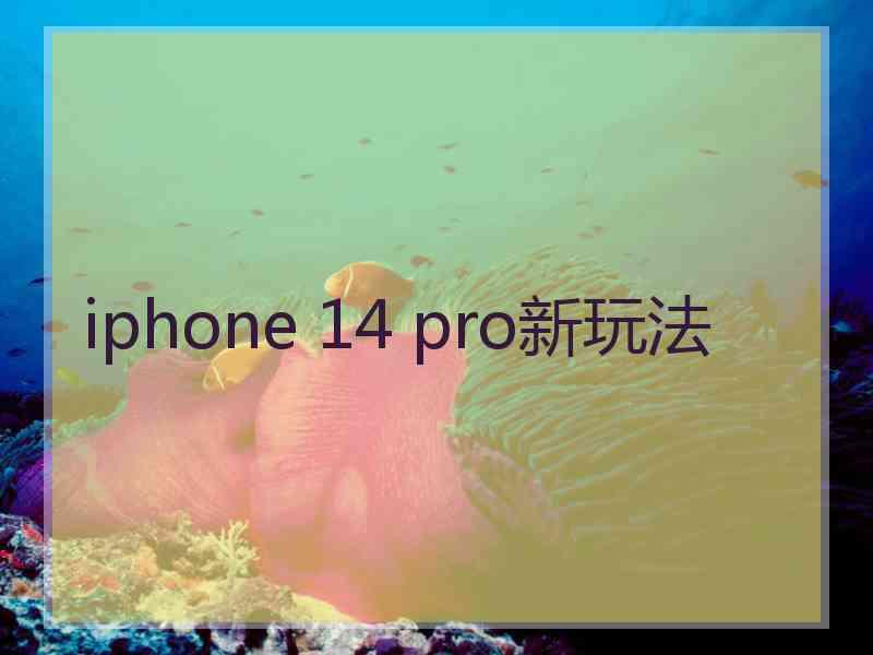 iphone 14 pro新玩法