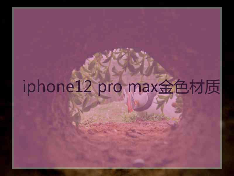 iphone12 pro max金色材质