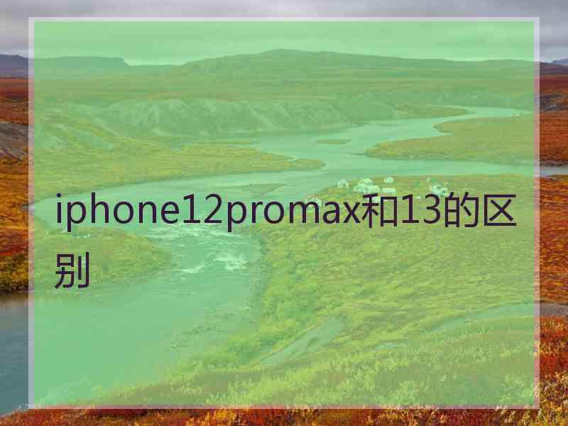 iphone12promax和13的区别