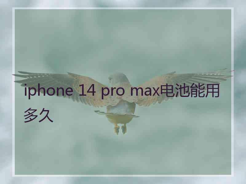 iphone 14 pro max电池能用多久