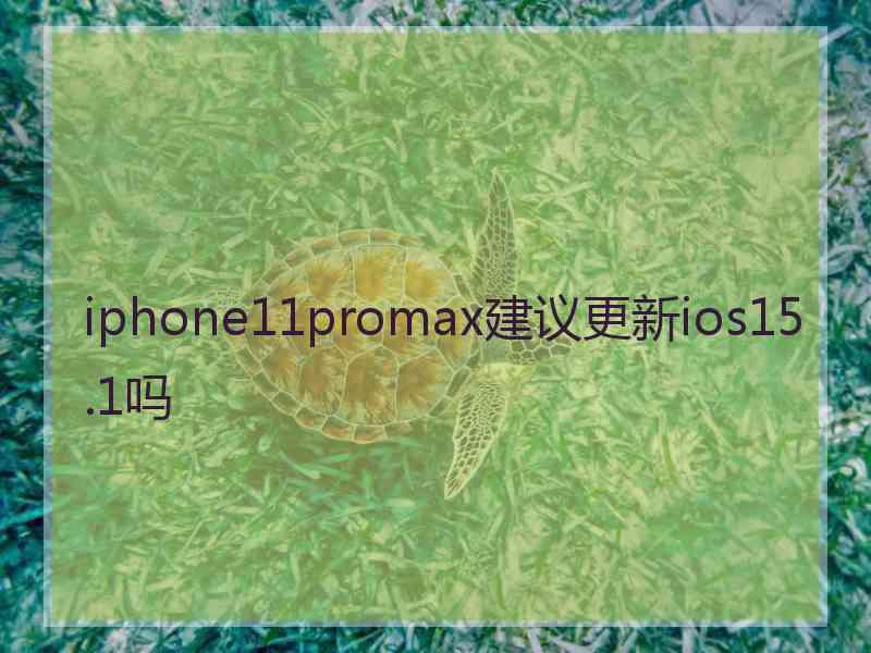 iphone11promax建议更新ios15.1吗