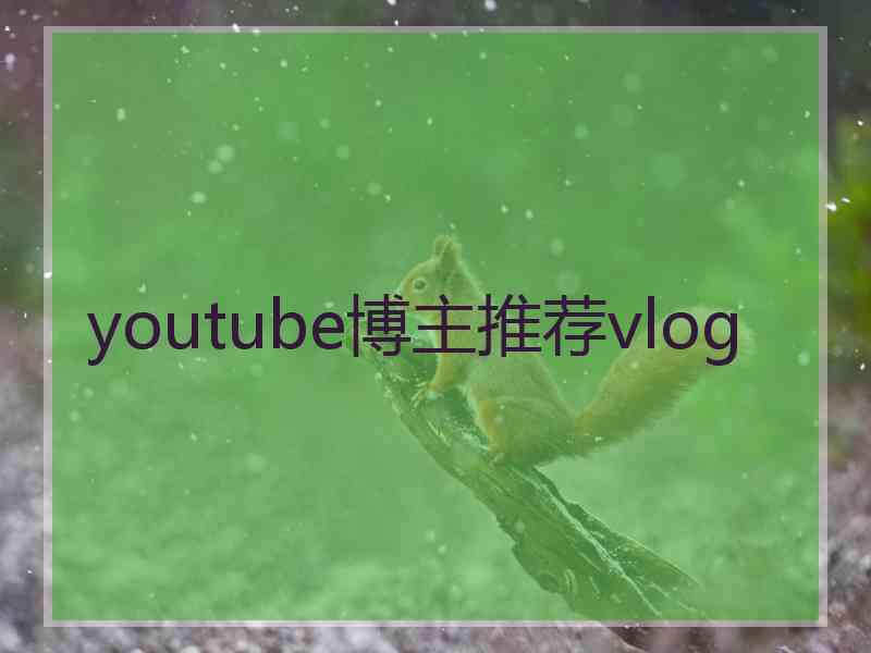 youtube博主推荐vlog