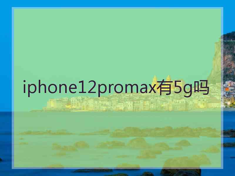 iphone12promax有5g吗