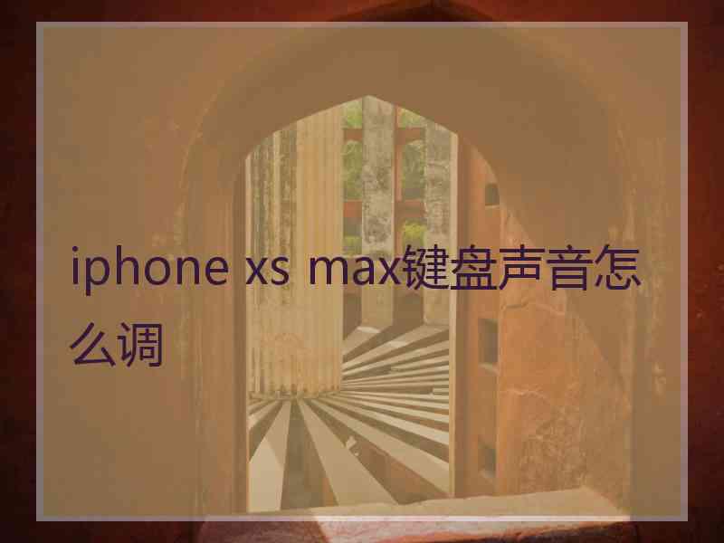 iphone xs max键盘声音怎么调