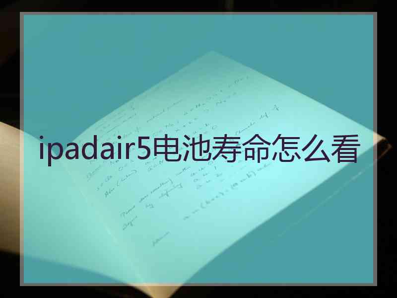 ipadair5电池寿命怎么看