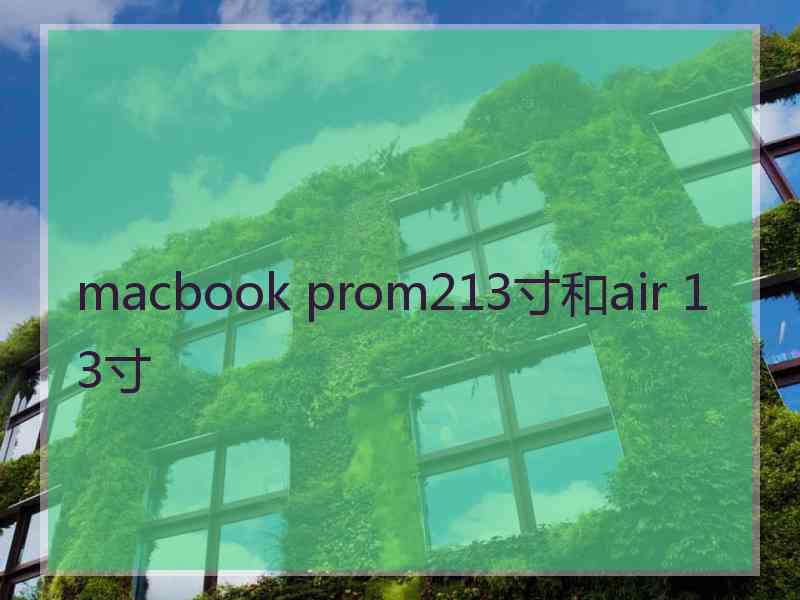 macbook prom213寸和air 13寸