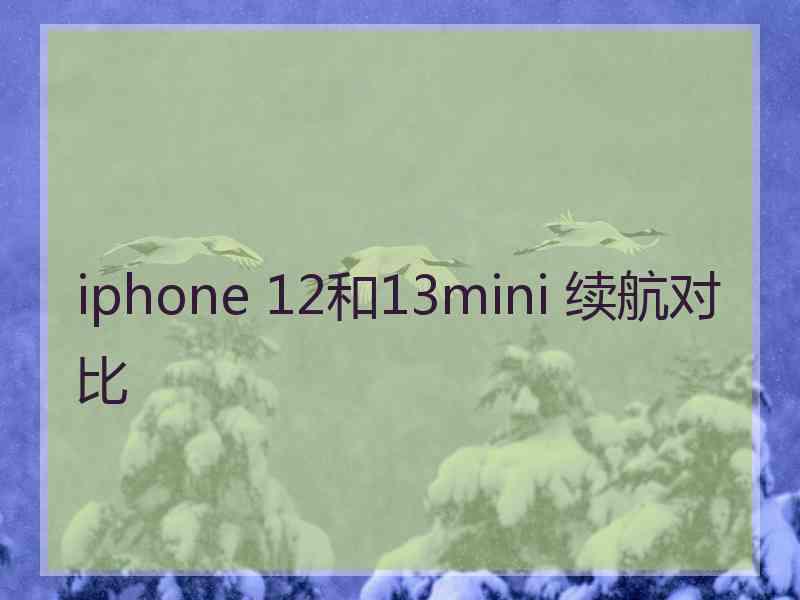 iphone 12和13mini 续航对比