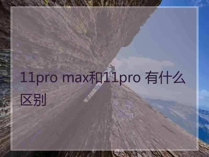 11pro max和11pro 有什么区别