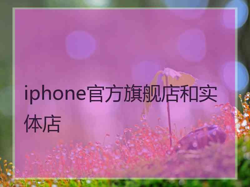 iphone官方旗舰店和实体店