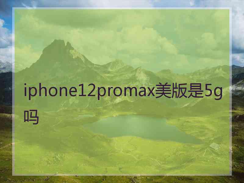 iphone12promax美版是5g吗