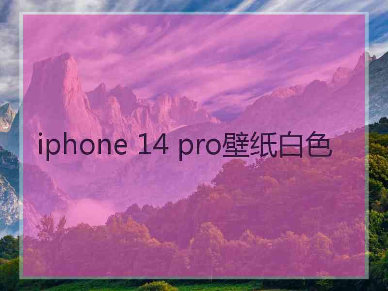 iphone 14 pro壁纸白色