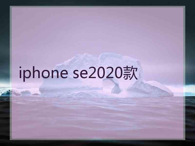 iphone se2020款