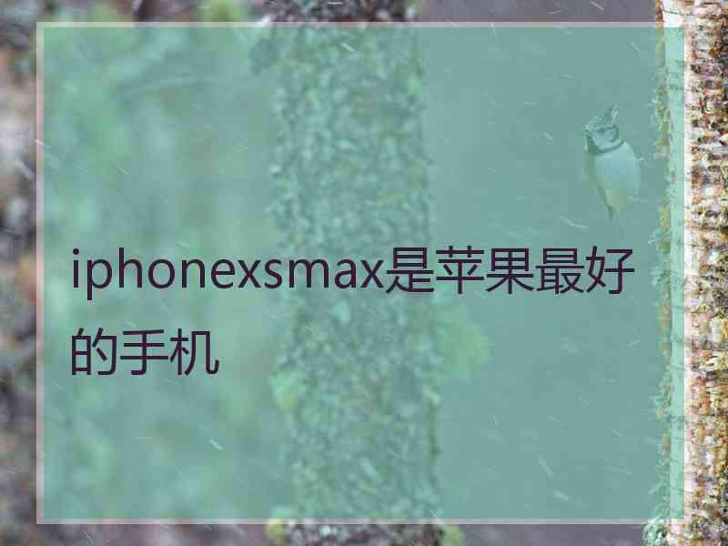 iphonexsmax是苹果最好的手机